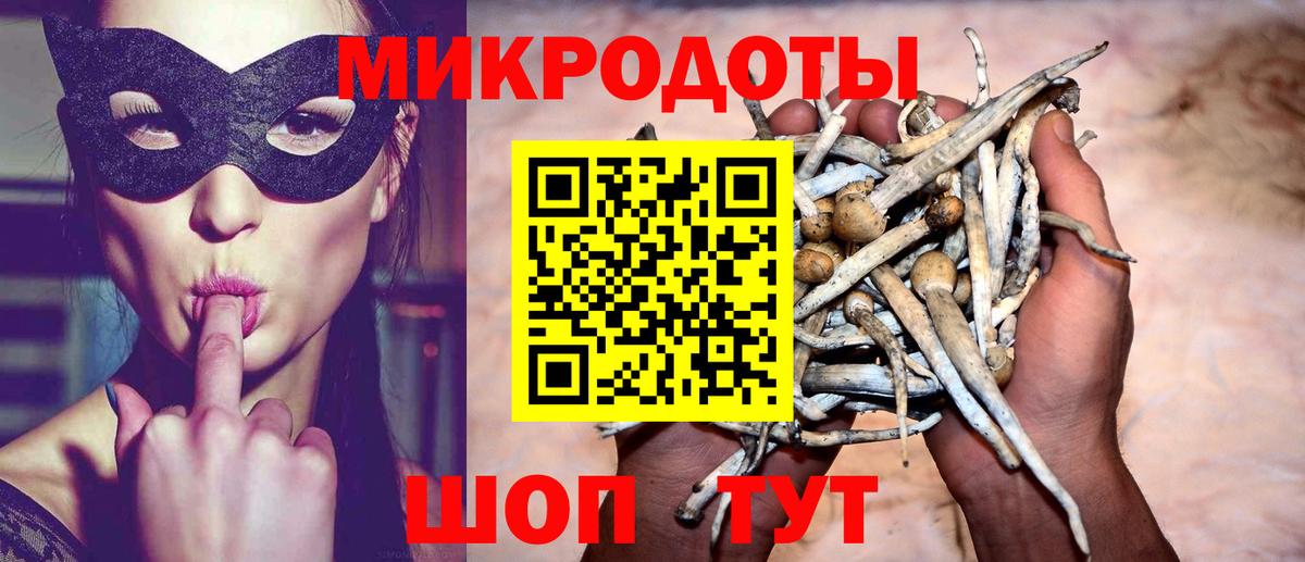 Галлюциногенные грибы Cubensis  Вход с VPN  Киселёвск 